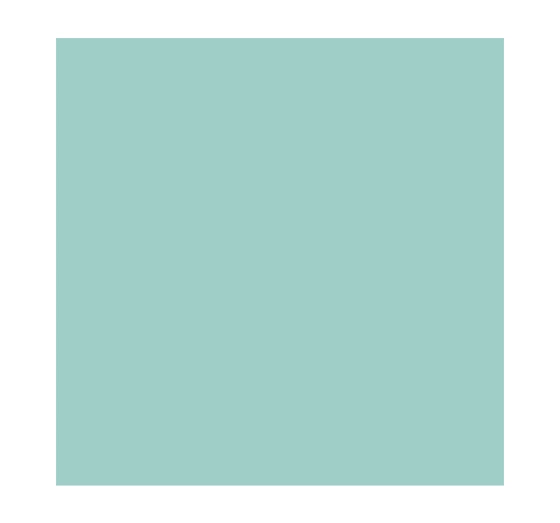 SALLY HANSEN INSTA-DRI LAKIER DO PAZNOKCI 510 GAIN MO-MINT-UM 9,17ML