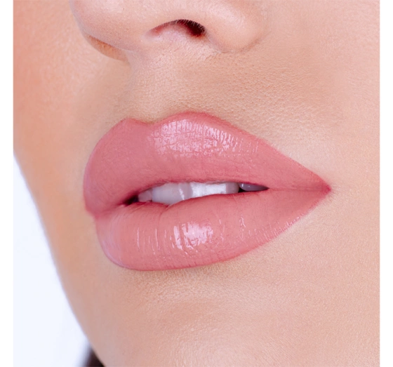 Pierre Rene Lip Kit zestaw do makijażu ust 06 Lip Nude Fusion