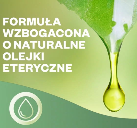 Air Wick Active Fresh automatyczny odświeżacz powietrza wkład Drzewo Sandałowe 228 ml