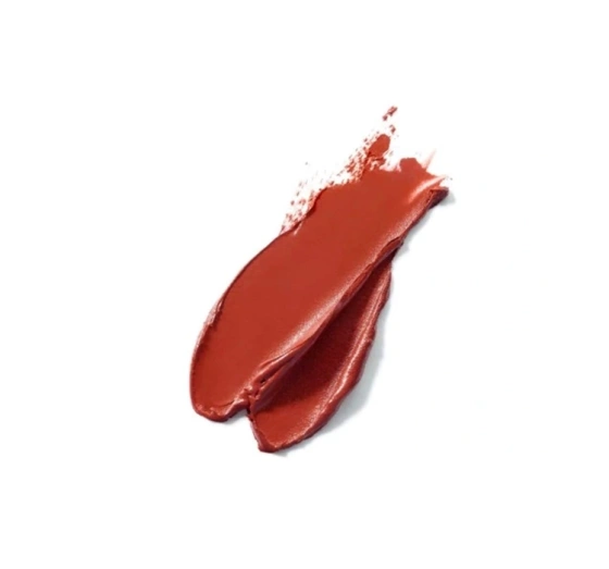 L'Oréal Paris Color Riche Matte pomadka matowa 348 Brick Vintage 3,6 g