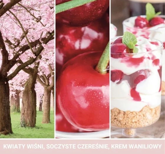 Yankee Candle wosk zapachowy do kominków Pink Cherry & Vanilla 22 g