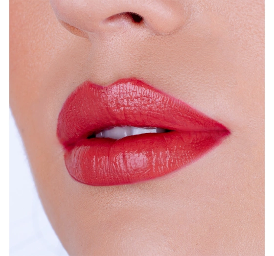 Pierre Rene Lip Kit zestaw do makijażu ust 04 Lip Warm Nude Fusion