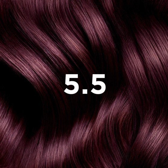 Phyto Hair Color farba do włosów 5.5 jasny mahoniowy brąz