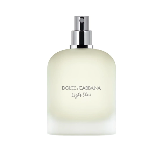 Tester Dolce & Gabbana Light Blue Pour Homme woda toaletowa spray 100 ml