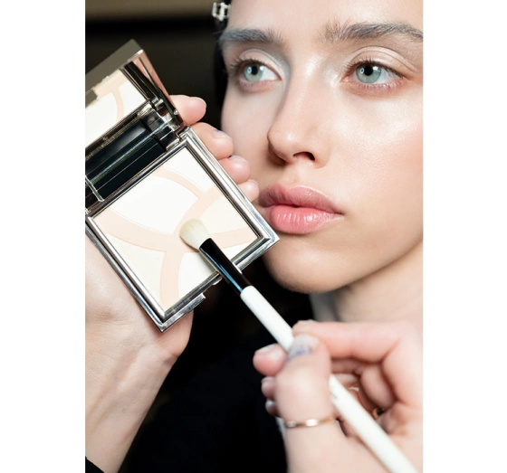 Dr Irena Eris Smooth&Blur Photo Filter transparentny puder do twarzy 9 g