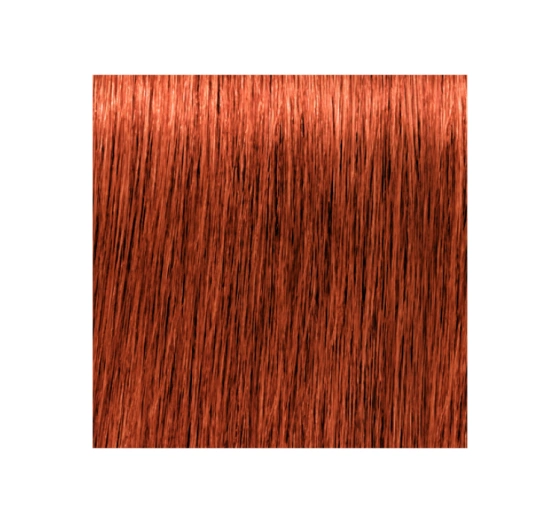 SCHWARZKOPF IGORA ROYAL FARBA DO WŁOSÓW 7-77 60ML