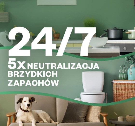 Air Wick Active Fresh automatyczny odświeżacz powietrza wkład Drzewo Sandałowe 228 ml