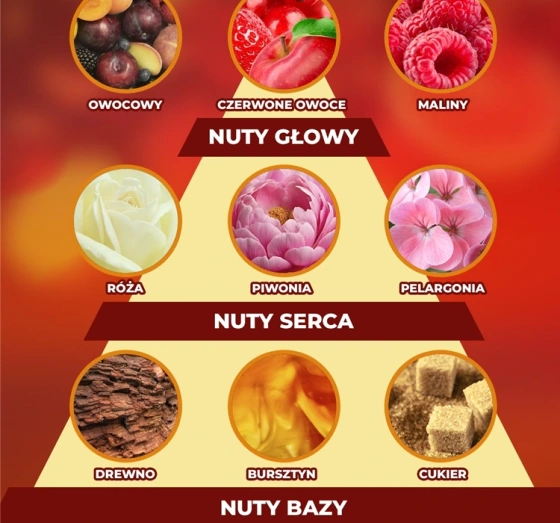 Air Wick Freshmatic automatyczny odświeżacz powietrza wkład Musujące Rose z Maliną 250 ml
