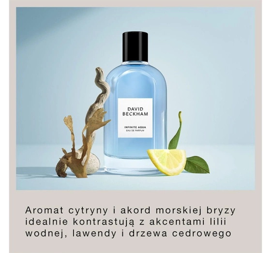 David Beckham Infinite Aqua woda perfumowana spray 100 ml