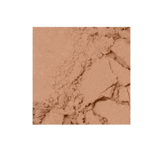 Bell Professional Shine Bronze bronzer do twarzy 01 10 g