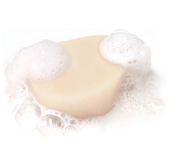 Garnier Respons szampon w kostce Coco&Organic Aloe Vera 60 g