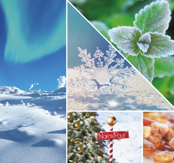 Yankee Candle Signature duża świeca zapachowa North Pole Hideaway 567 g