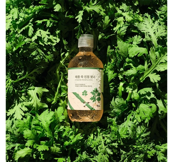 Round LAB Mugwort kojący tonik do twarzy 300ml